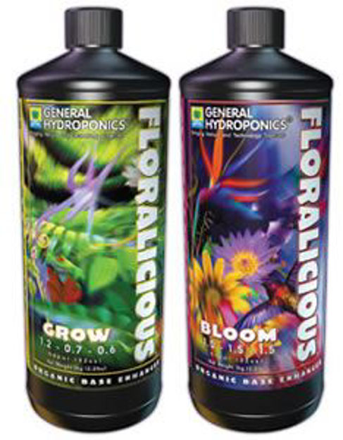 Picture of Floralicious Grow qt