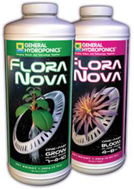 Picture of FloraNova Bloom 1 qt
