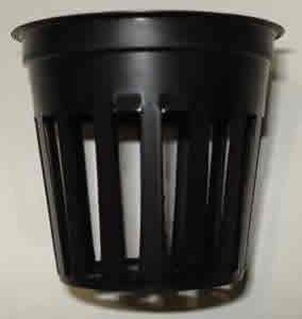Picture of Growing Cup - 2" Diameter, pack of 100