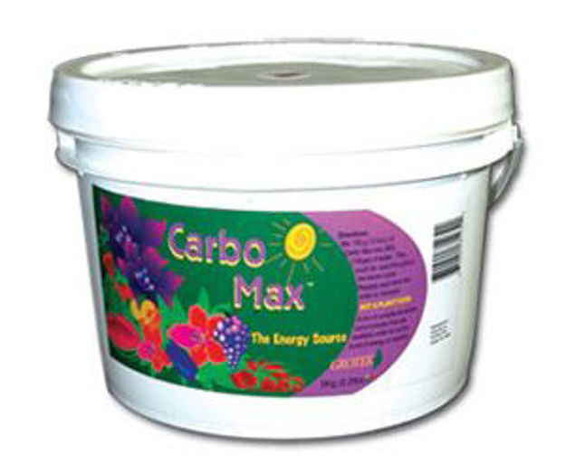 Picture of Carbo Max 100 g