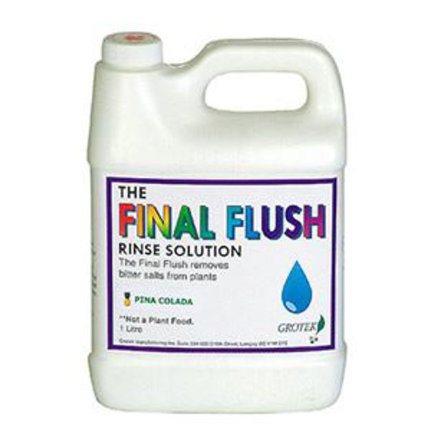 Picture of Final Flush Pina Colada 1L