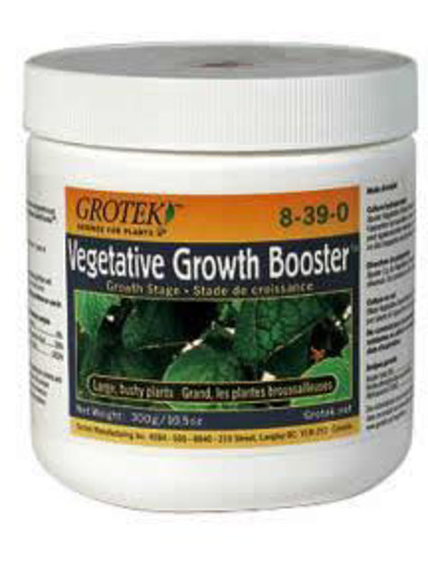 Picture of Grotek Growth Booster
