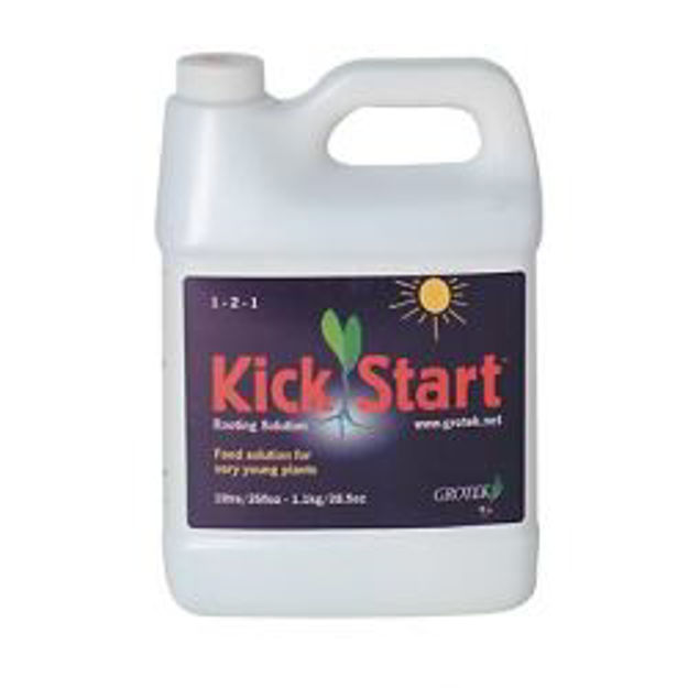 Picture of Kick Start Clone Solution Qt