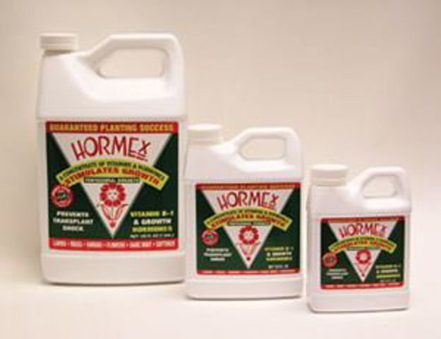 Picture of Hormex Liquid Conc. 8oz