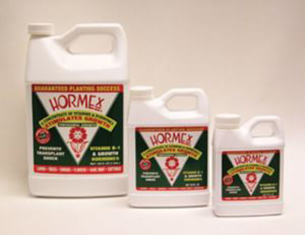 Picture of Hormex Liquid Concentrate, 16 oz