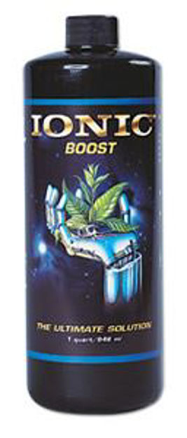 Picture of Ionic Boost, 5 gal