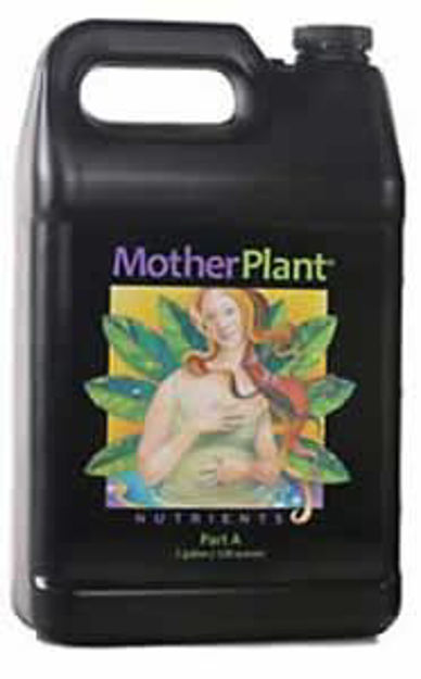 Picture of MotherPlant A Gal