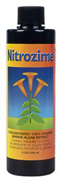 Picture of Nitrozime, 8 oz