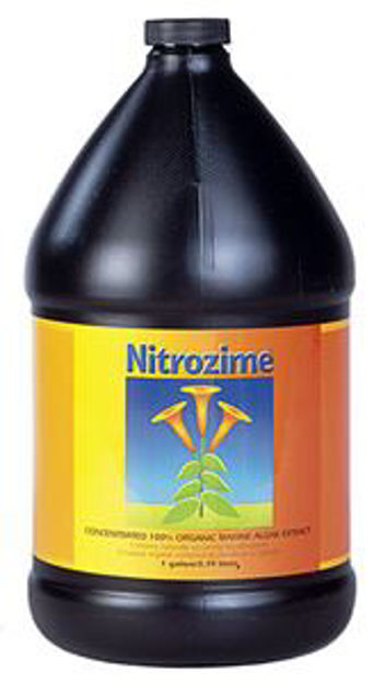 Picture of Nitrozime, 1 gal