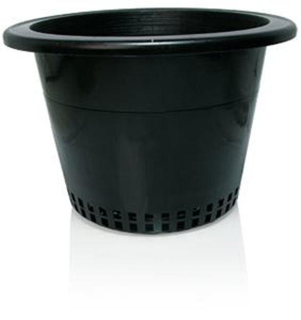 Picture of 10" Pot with Mesh Bottom, bag of 50