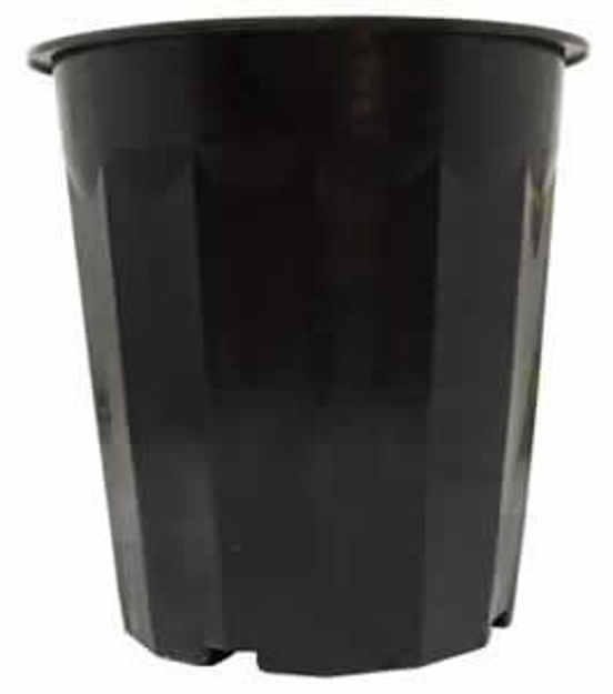 Picture of 16 qt Black Plastic Bucket, pack of 50