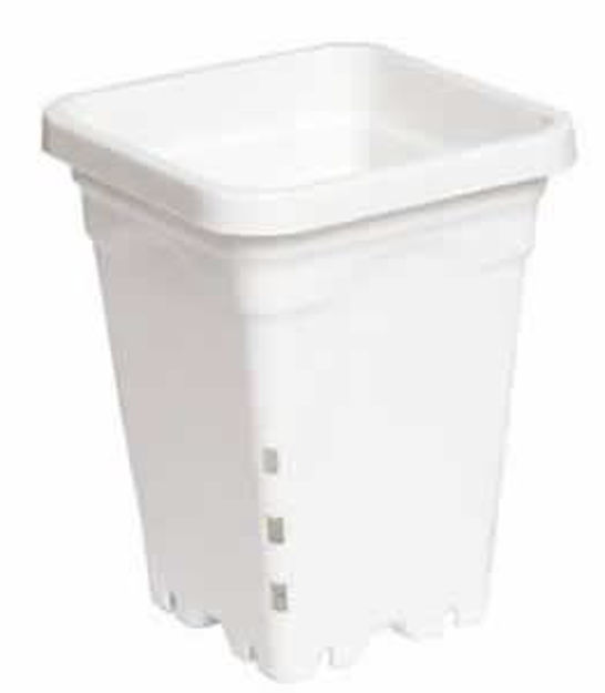 Picture of 5"x5" Square White Pot, 7" Tall, 100 per case