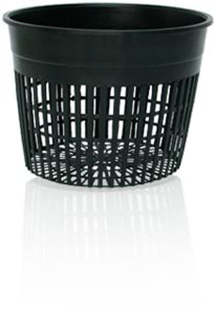 Picture of 6" Net Pot, pack of 50