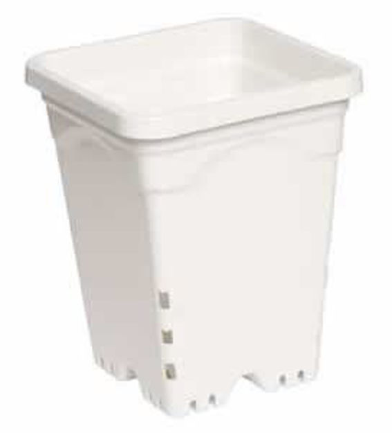 Picture of 6"x6" Square White Pot, 8" Tall, 50 per case