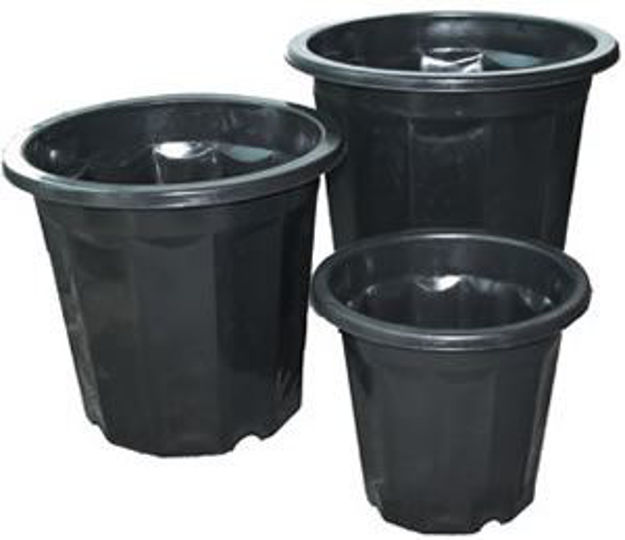 Picture of 7 Quart Black Plastic Planter, pack of 45
