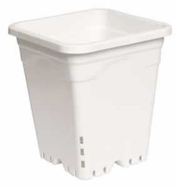 Picture of 9"x9" Square White Pot, 10" Tall, 24 per case