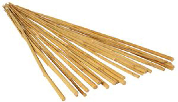 Picture of 2' Natural Bamboo Stake, pack of 25