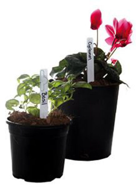 Picture of Plant Markers, pack of 50