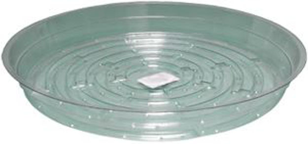 Picture of Clear 10 inch Saucer, pack of 25