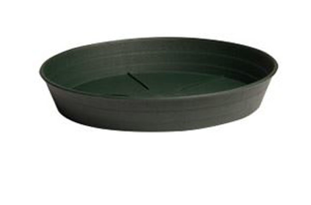Picture of Green Premium Saucer 10", pack of 25