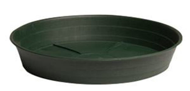 Picture of Green Premium Saucer 12", pack of 10