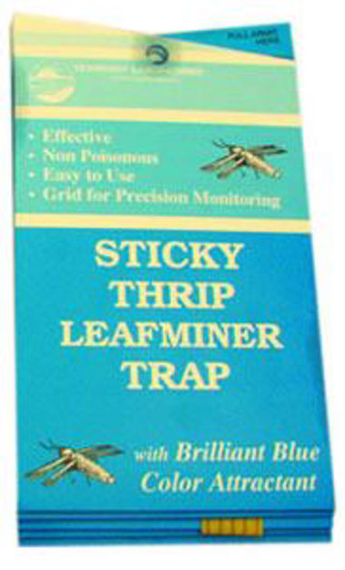 Picture of Thrip/Leafminer Trap, 5 pack