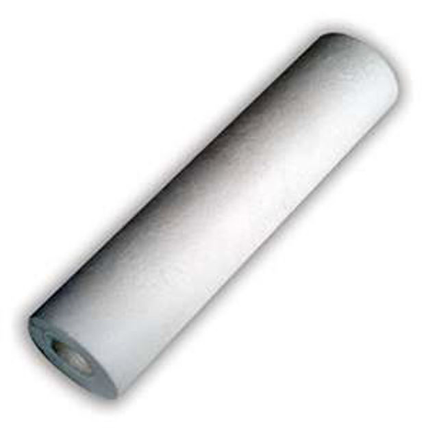 Picture of Small Boy Replacement Sediment Filter