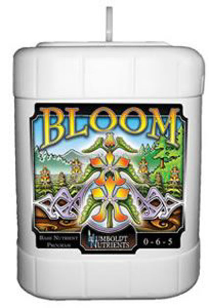 Picture of Bloom 5 gallon