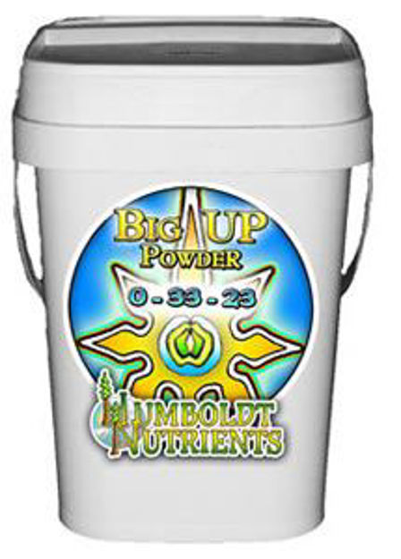 Picture of Big Up Powder 4 oz.