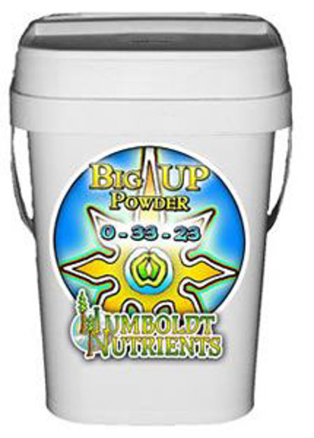 Picture of Big Up Powder 8 oz.