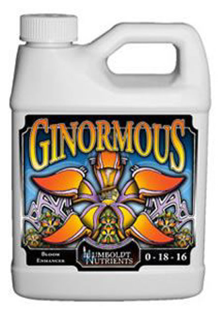 Picture of Ginormous 32 oz.