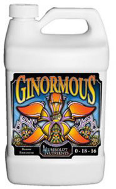 Picture of Ginormous 1 gal.