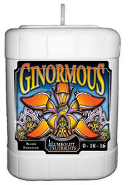 Picture of Ginormous 5 gal.