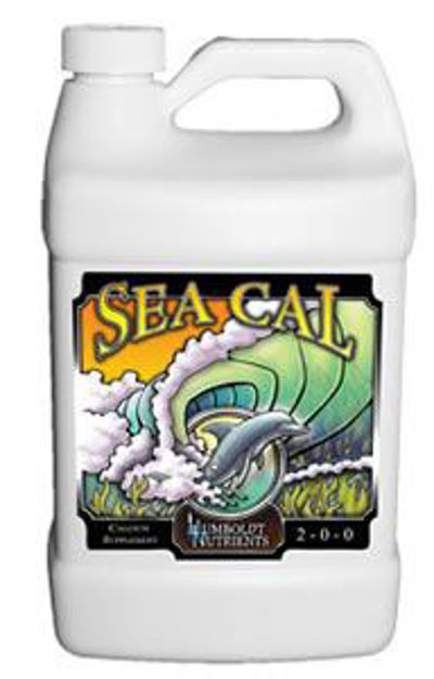 Picture of Sea Cal 1 gal.