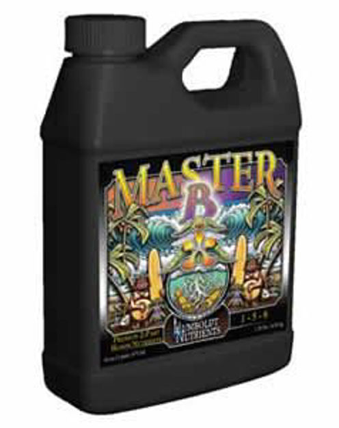 Picture of Master-B 16 oz.
