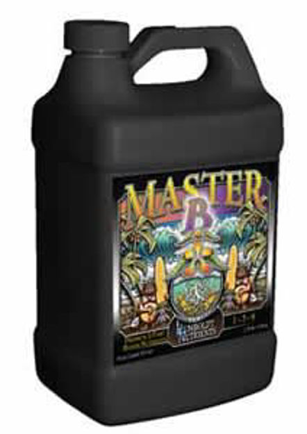 Picture of Master-B, 1 gal.