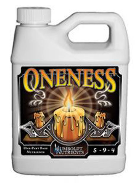 Picture of Oneness 16 oz.