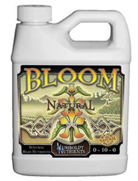Picture of Bloom Natural 16 oz.