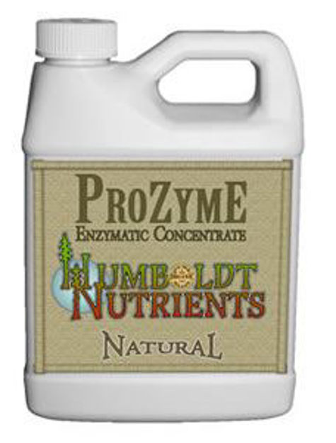 Picture of ProZyme 16 oz.