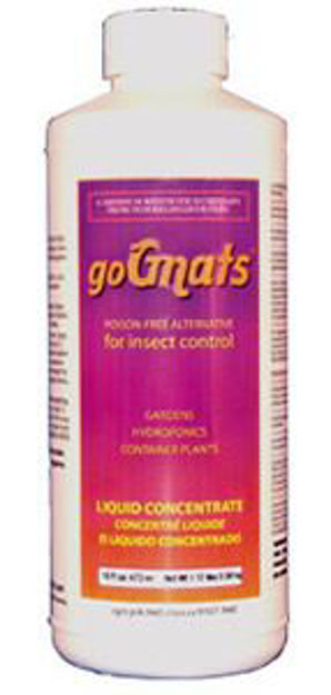 Picture of goGNATS Liquid Concentrate, 16 oz