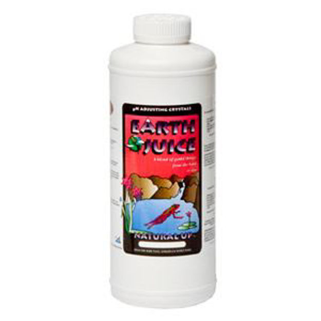 Picture of Earth Juice Natural Up, 2lbs.