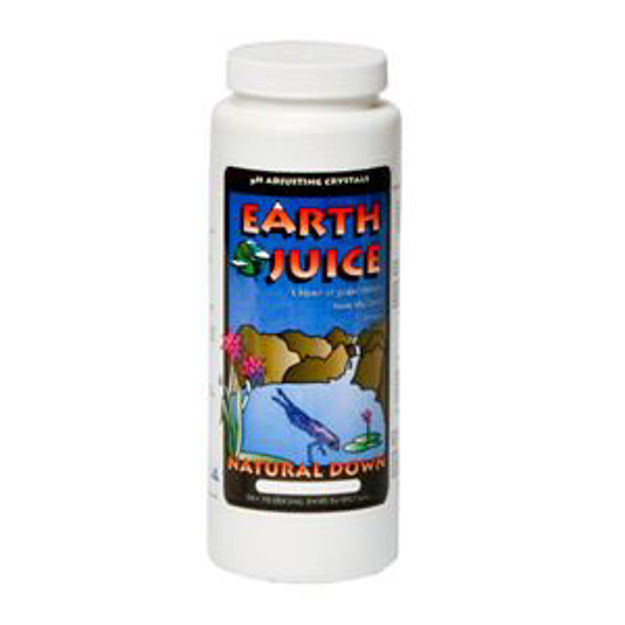 Picture of Earth Juice Natural Down, .8 lb