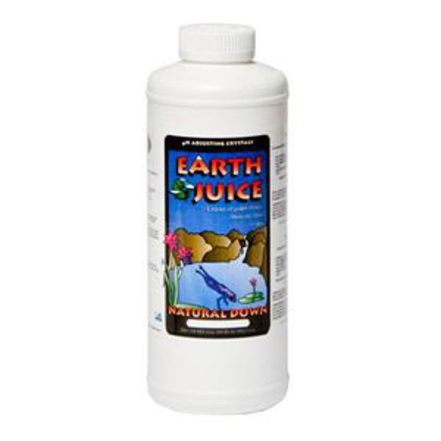 Picture of Earth Juice Natural Down, 1.6 lbs.