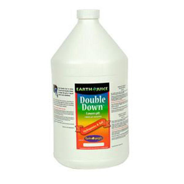 Picture of Double Down Gal