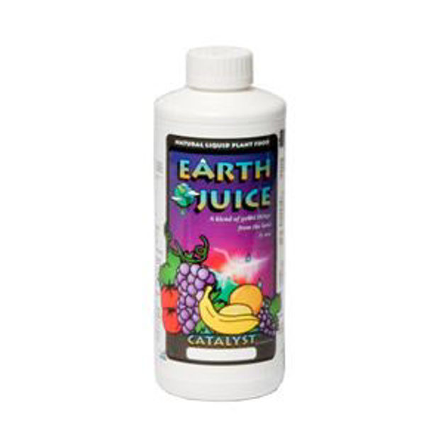 Picture of Earth Juice Catalyst, 1 pt