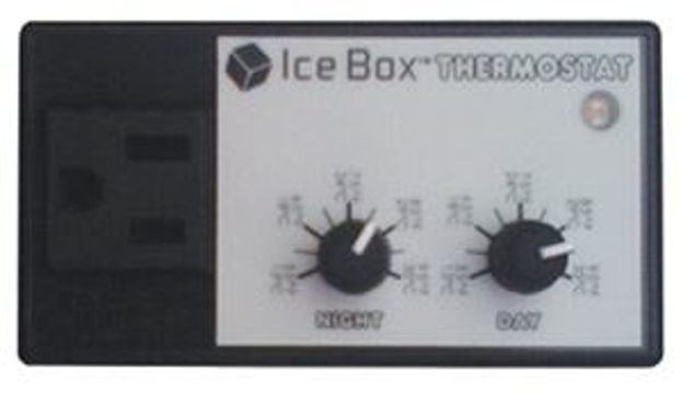 Picture of Ice Box Thermostat