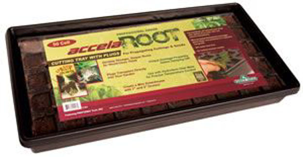 Picture of AccelaROOT 50-Cell Tray