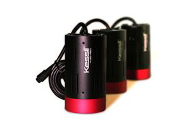 Picture of LED Grow Light, Red