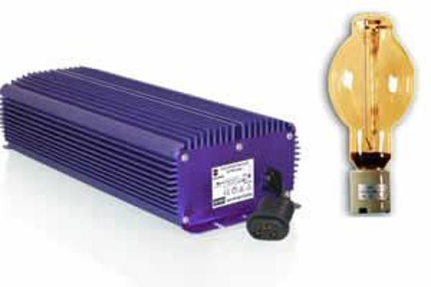 Picture of LK7240 with BUSD750 bulb