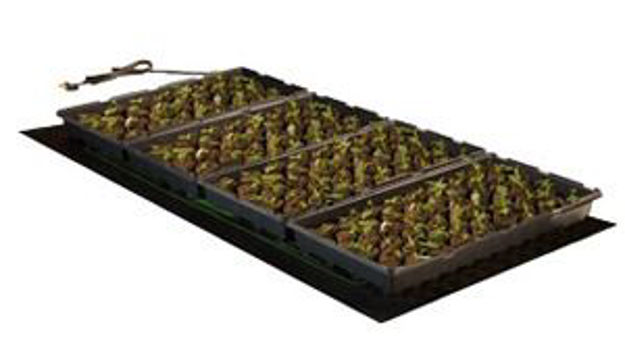 Picture of Seedling Heat Mat 48"x20" ~ 107W